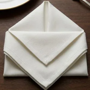 serviette table restaurant bandes satin